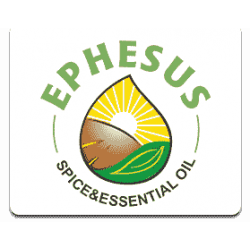 Ephesus Min logosu