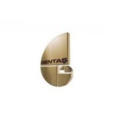 Gentas logosu